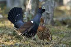 03_NATURA-BIZIA