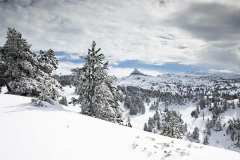 04_NAVARRA